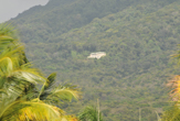 Piantagioni sul Mount Nevis
